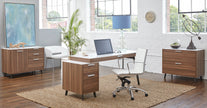 Euro Style Dirk Low Back Office Chair