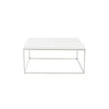 Euro Style Sale Teresa Square Coffee Table