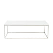 Euro Style Teresa Rectangular Coffee Table