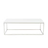 Euro Style Teresa Rectangular Coffee Table