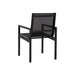 Sunpan Merano Dining Armchair - Set of 2