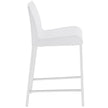 Euro Style Cam-C Counter Stool - Set of 2