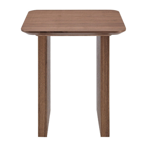 Euro Style Caden 20" Side Table