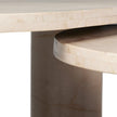 Four Hands Zion Nesting Coffee Table Set