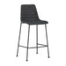 Euro Style Elma Counter Stool - Set of 2