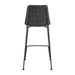 Euro Style Elma Counter Stool - Set of 2