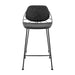 Euro Style Linnea Counter Stool - Set of 2