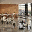 Euro Style Felipe Counter Stool
