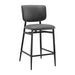 Euro Style Felipe Counter Stool