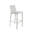 Euro Style Hasina Bar Stool - Set of 2