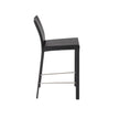 Euro Style Hasina Counter Stool - Set of 2