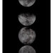 Sunpan Moon Phases Charcoal Frame