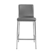 Euro Style Scott-C Counter Stool - Set of 2