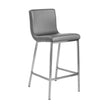 Euro Style Scott-C Counter Stool - Set of 2