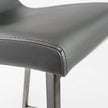 Euro Style Scott-C Counter Stool - Set of 2