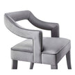 TOV Furniture Tiffany Performance Velvet Chair