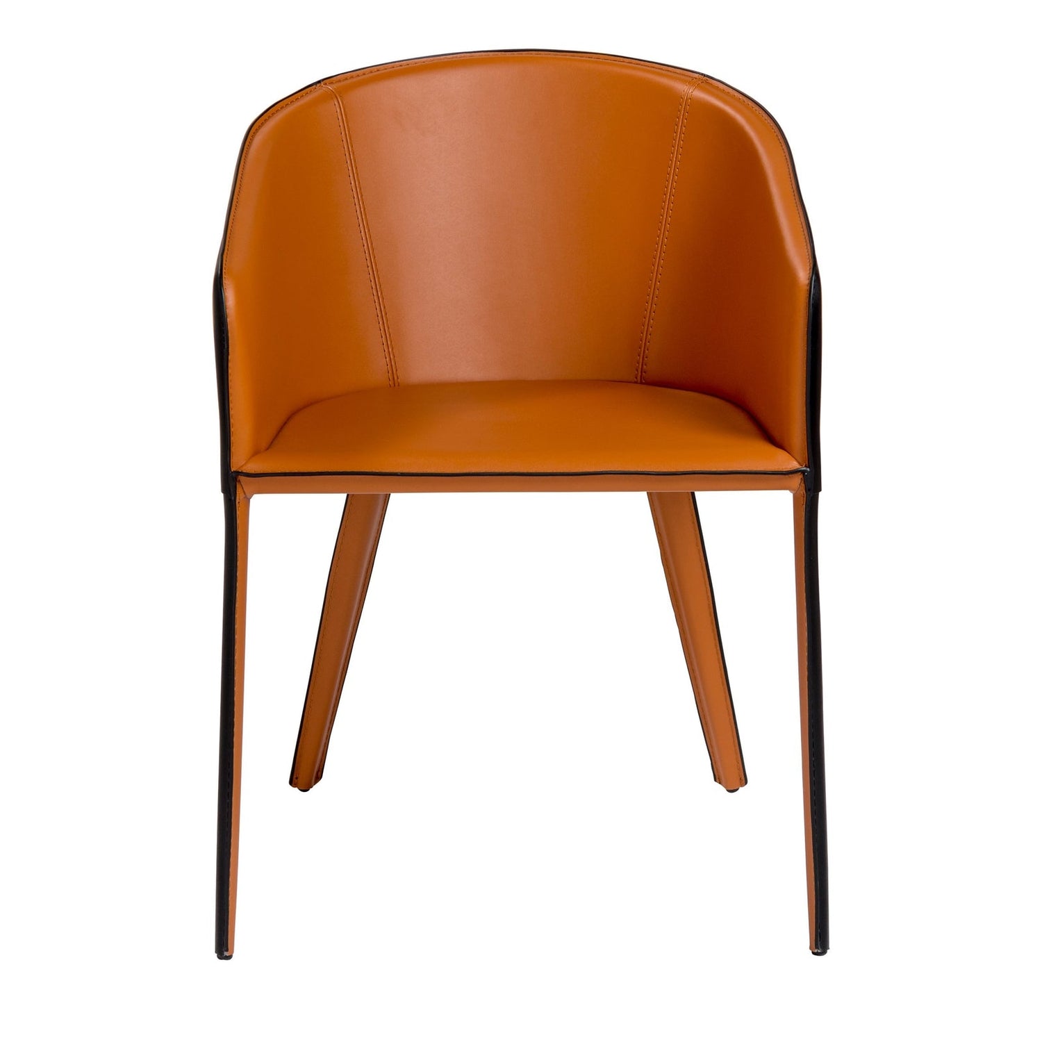 Euro Style Pallas Arm Chair