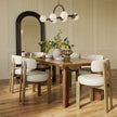 TOV Furniture Odessa Performance Dining Chair