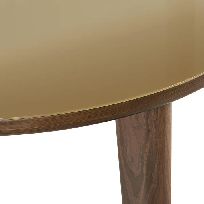 TOV Furniture Oani Walnut and Glass Dining Table