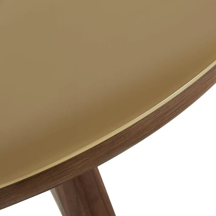 TOV Furniture Oani Walnut and Glass Dining Table