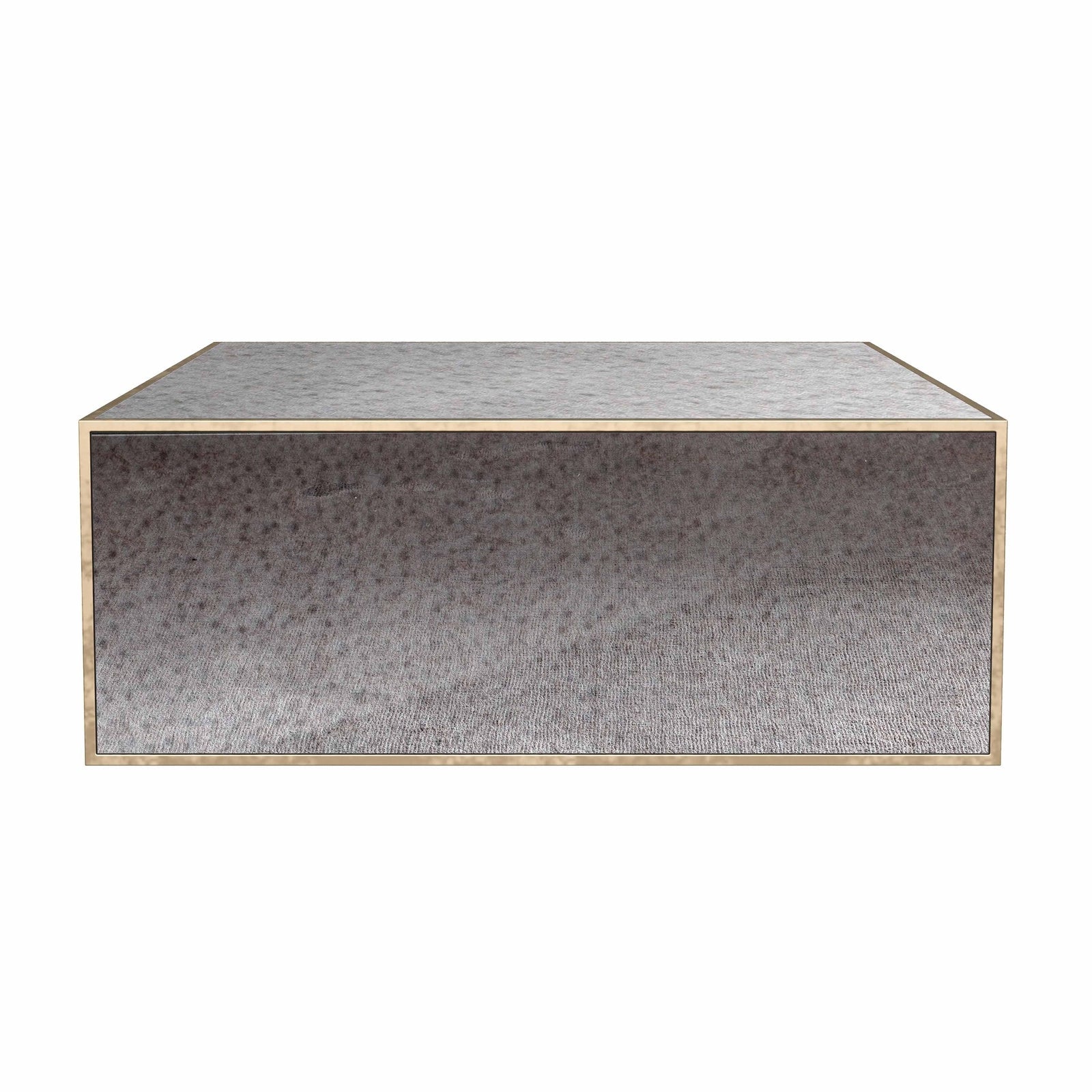 TOV Furniture Lana Mirrored Large Coffee Table