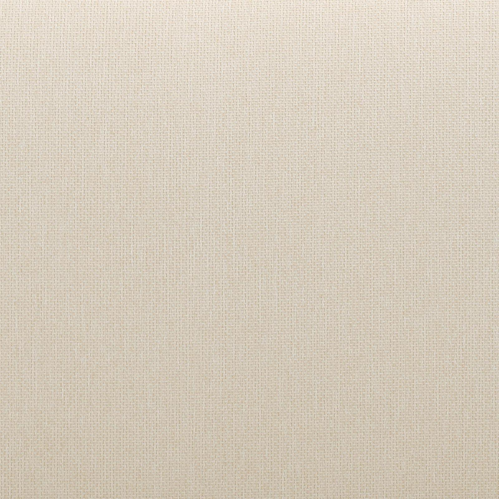 TOV Furniture Reavan Cream Outdoor Lounge Chair