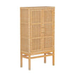 TOV Furniture Amara Rattan Cabinet