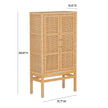 TOV Furniture Amara Rattan Cabinet
