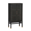 TOV Furniture Amara Rattan Cabinet