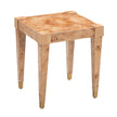 TOV Furniture Brandyss Burl End Table
