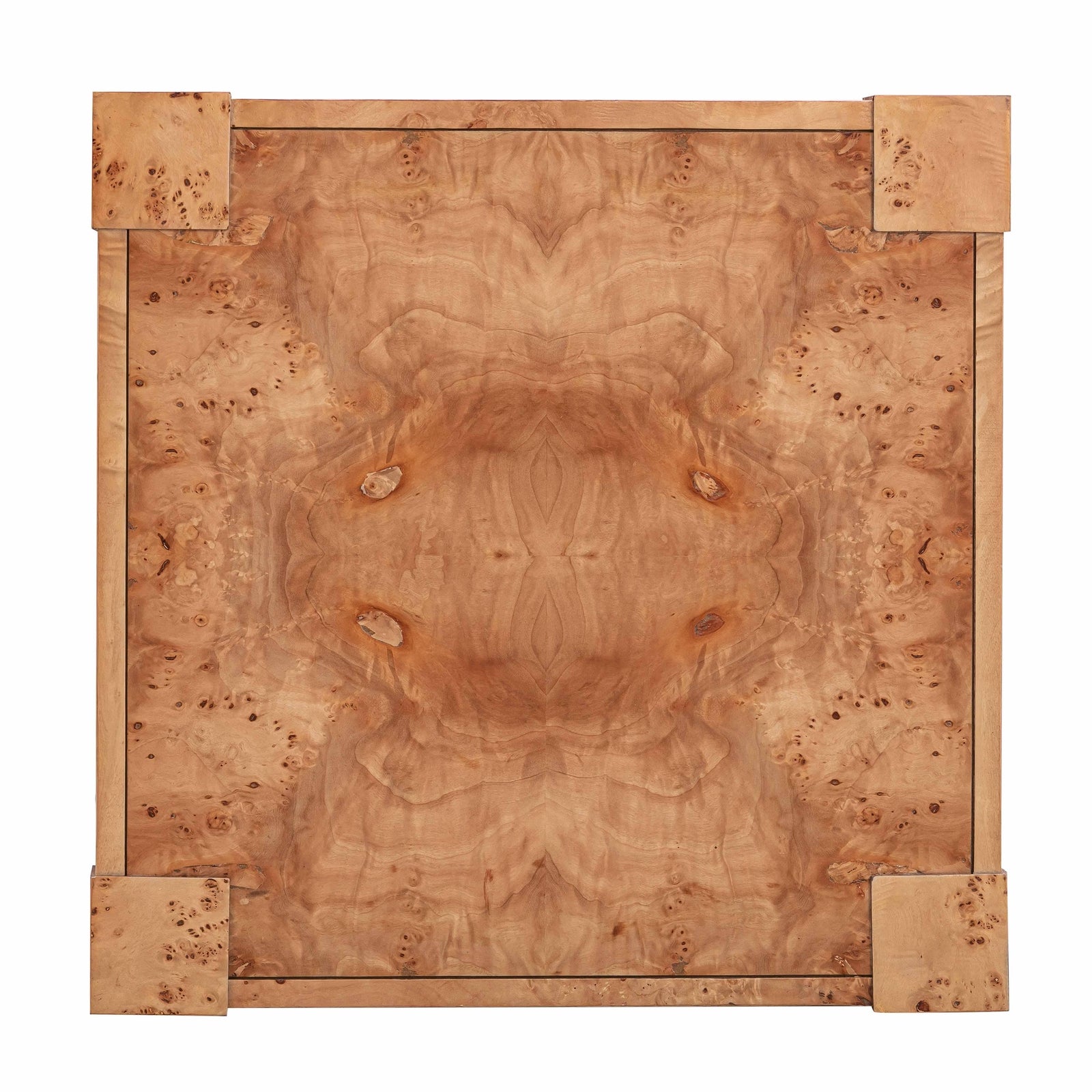 TOV Furniture Brandyss Burl End Table