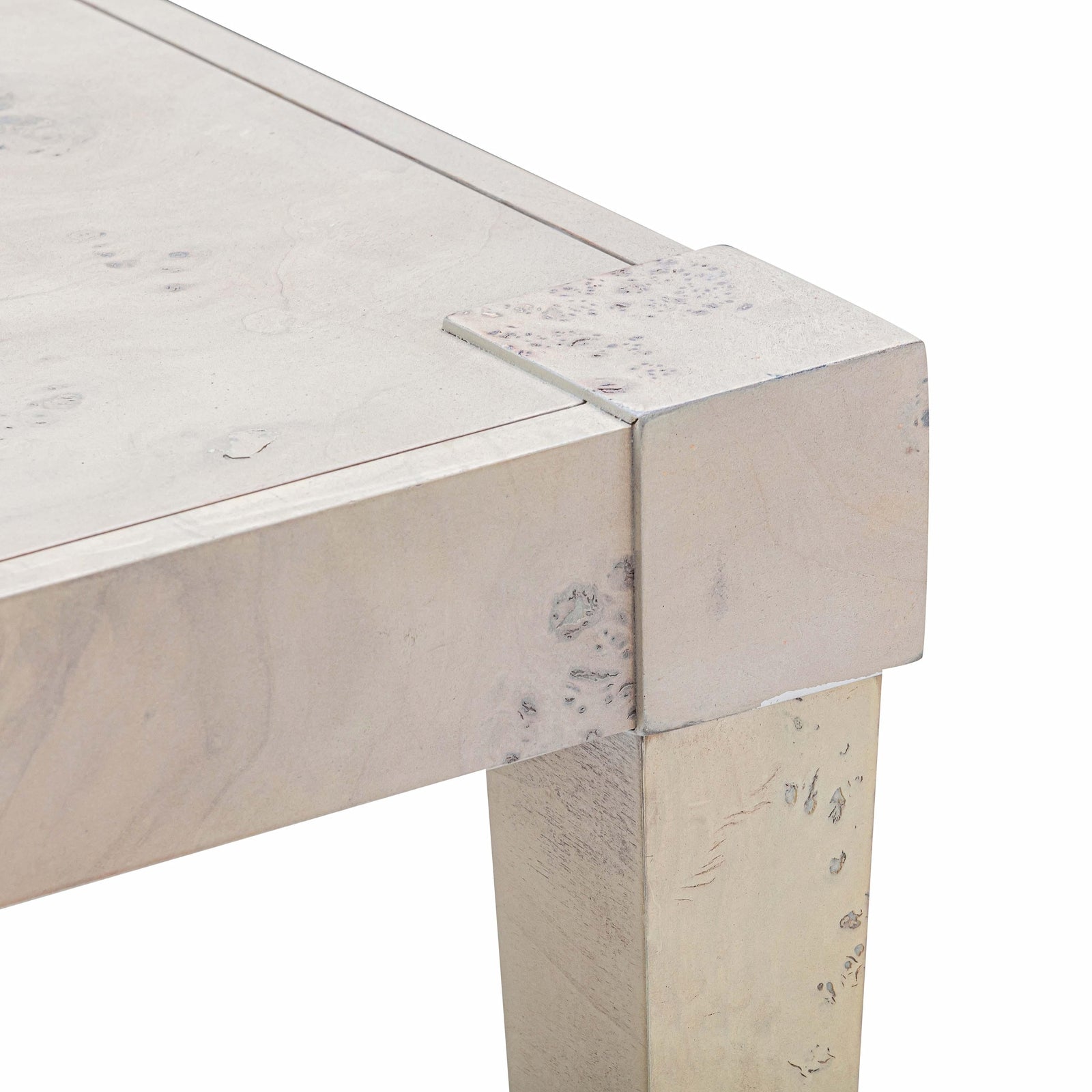 TOV Furniture Brandyss Burl End Table