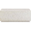 TOV Furniture Earl Shell Rectangular Coffee Table