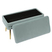 TOV Furniture Ziva Storage Bench