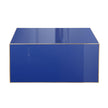 TOV Furniture Havana Coffee Table