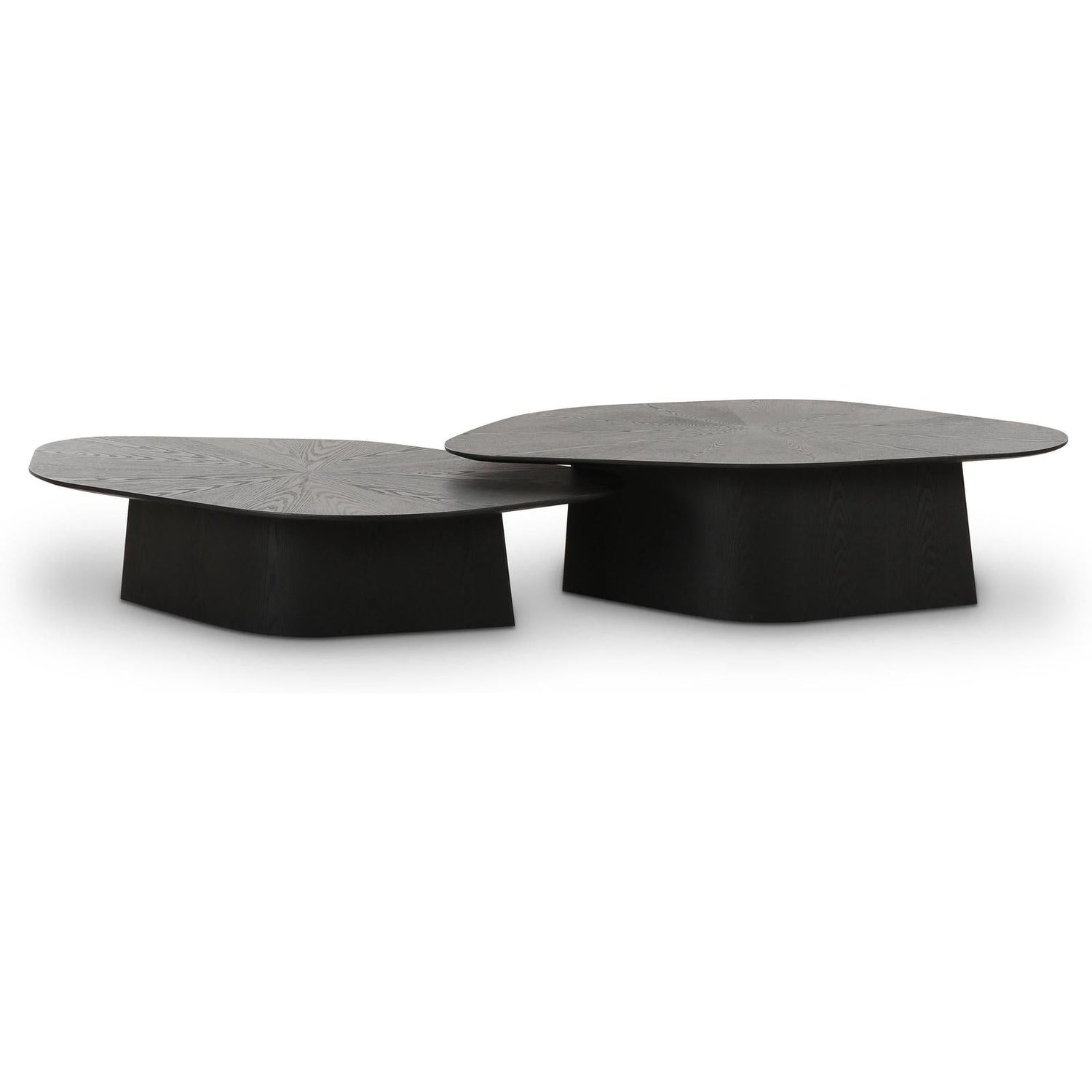 TOV Furniture Roche 2-Piece Ash Nesting Coffee Table Set