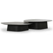 TOV Furniture Roche 2-Piece Ash Nesting Coffee Table Set