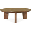 TOV Furniture Oani Walnut Coffee Table