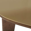 TOV Furniture Oani Walnut Coffee Table
