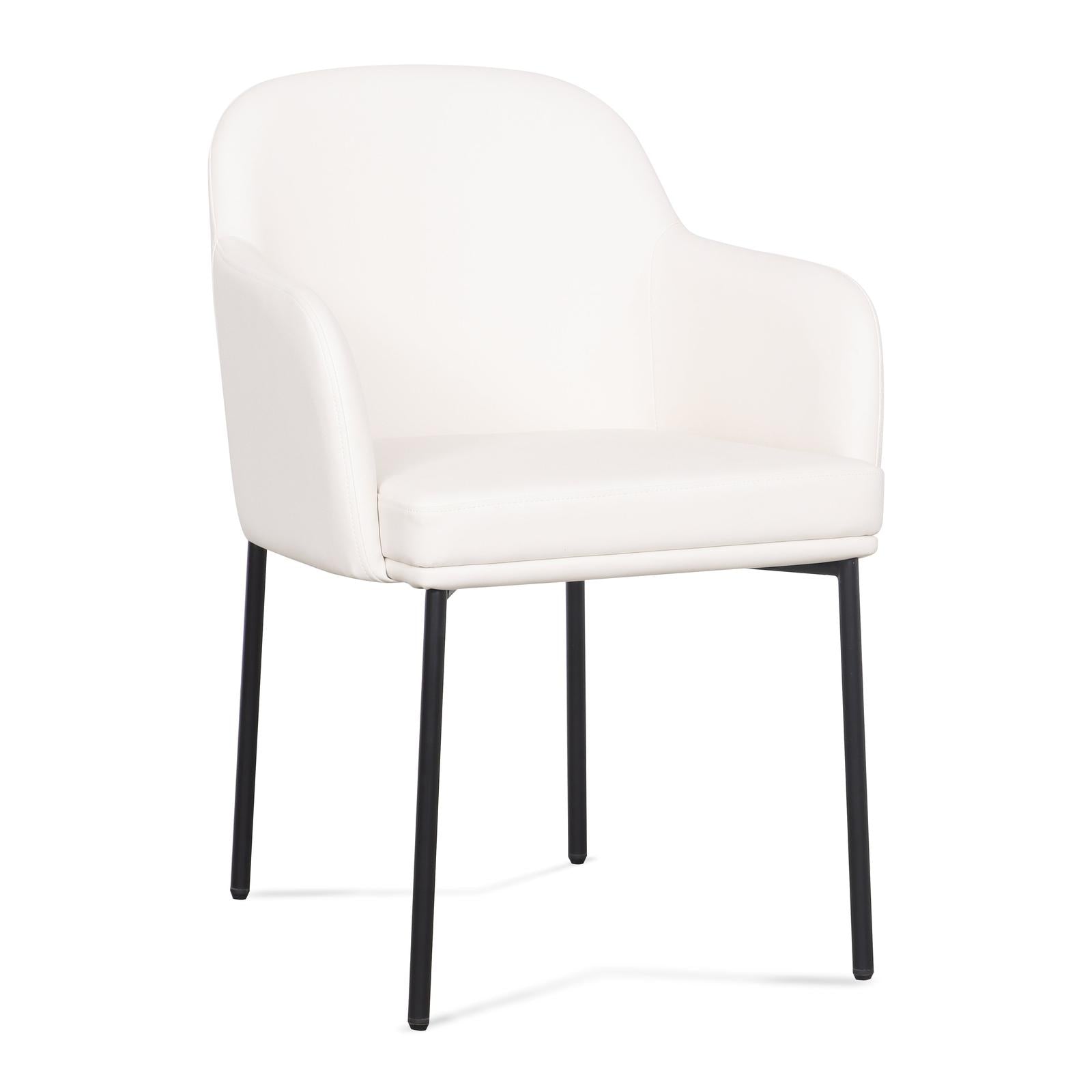 TOV Furniture Sydney Performance Vegan Leather Armchair - Set of 2