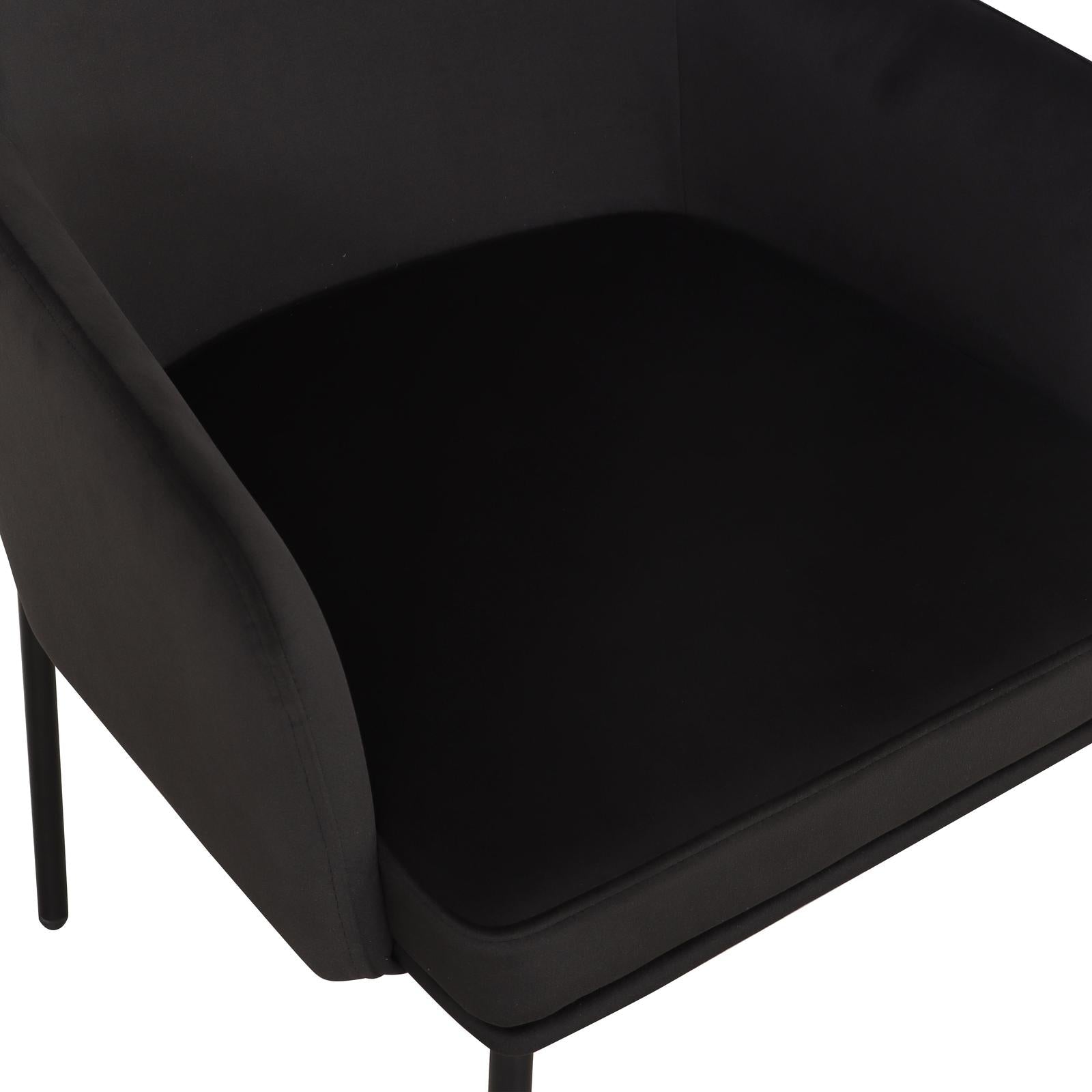 TOV Furniture Sydney Performance Velvet Armchair - Set of 2