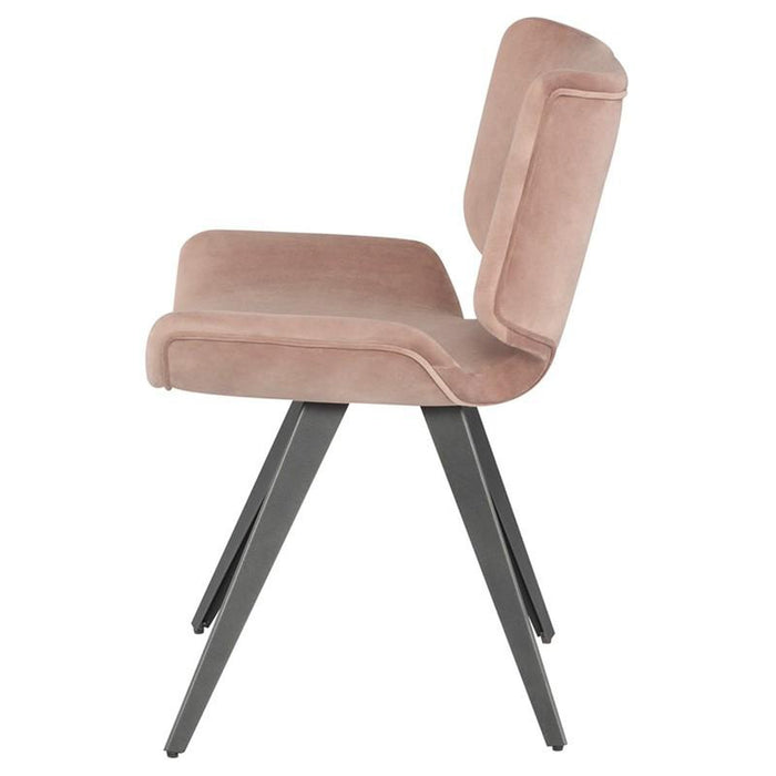 Nuevo Astra Dining Chair