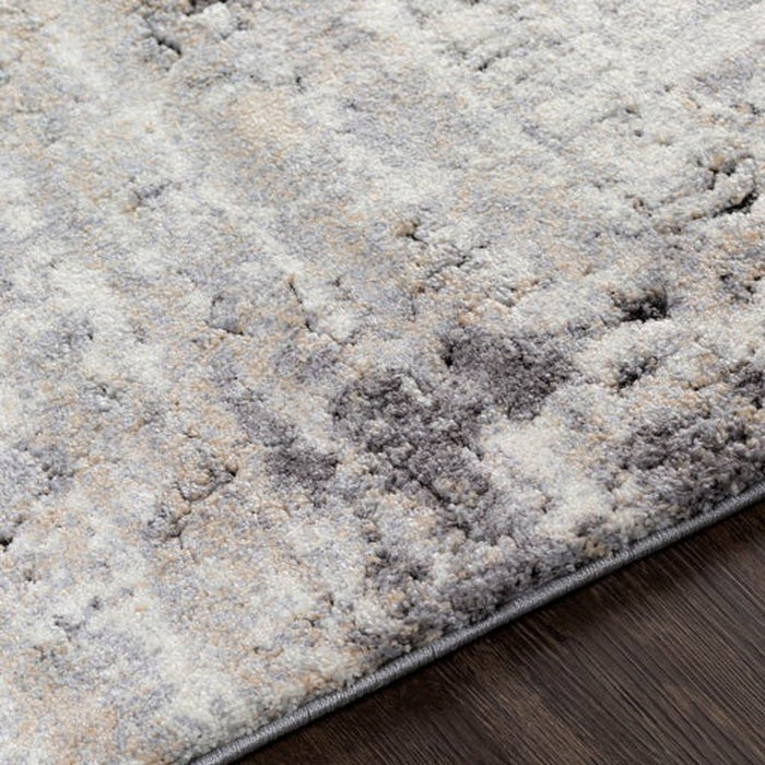 Surya Tuscany TUS-2312 Rug