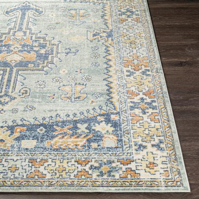 Surya Bodrum BDM-2333 Rug