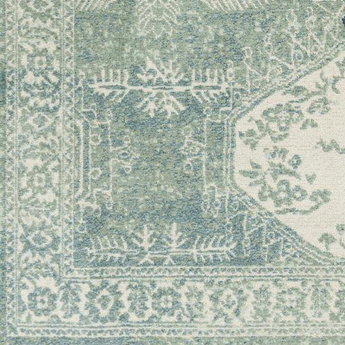 Surya Bodrum BDM-2336 Rug