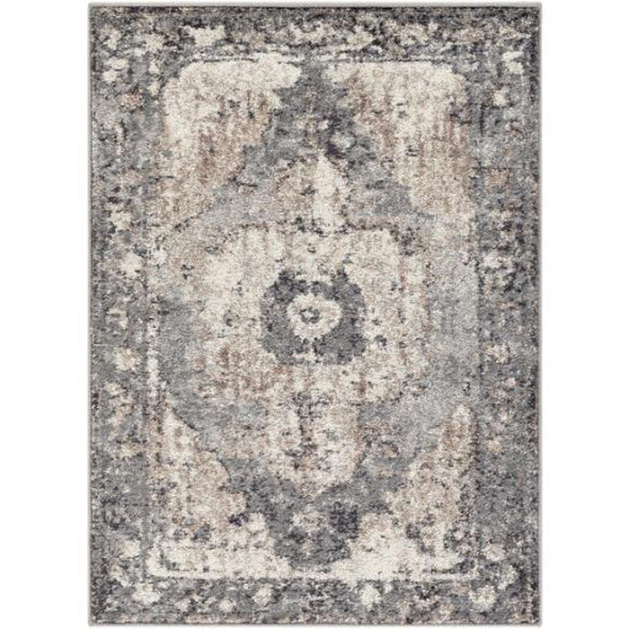 Surya Chelsea CSA-2304 Rug