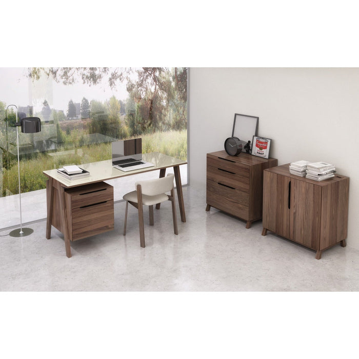 Huppe Howard Desk 7301 with Drawer File Cabinet