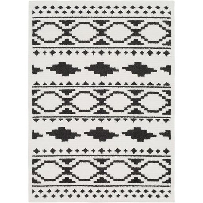 Surya Moroccan Shag MCS-2305 Rug