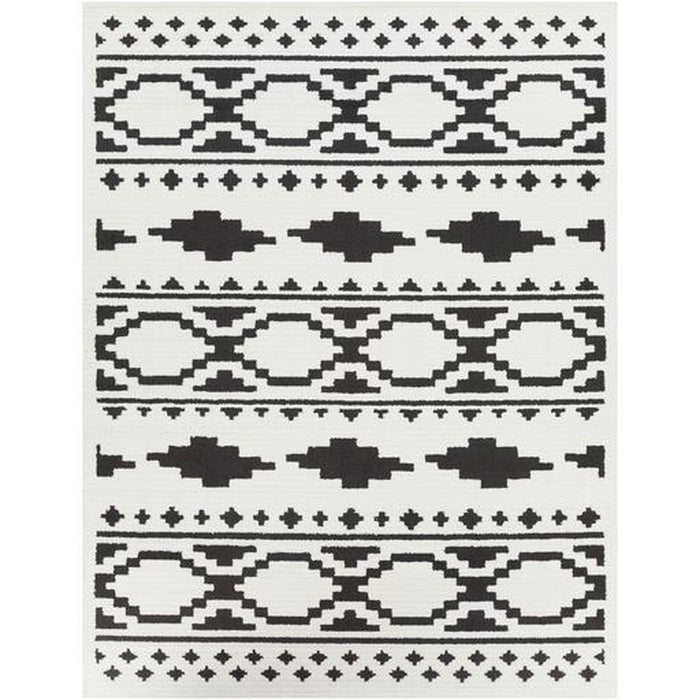 Surya Moroccan Shag MCS-2305 Rug