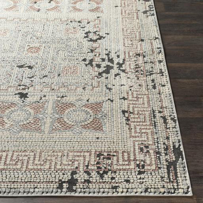 Surya Venezia VNZ-2301 Rug